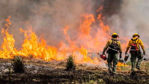 California Farmers Face Growing Threat as Weather Service Cuts Fuel Wildfire Risks