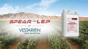 SPEAR® LEP: A Smart Solution for Navel Orangeworm Control in Pistachios and Almonds during Harvest