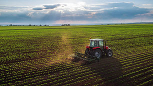 Federal Funding and State Initiatives Set to Shape California Agriculture in 2025