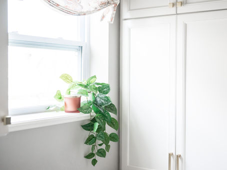 the LAUNDRY ROOM: so fresh and so clean clean