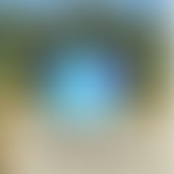 Announcing the LJS Cup 2019!