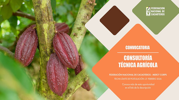 Fruto de cacao