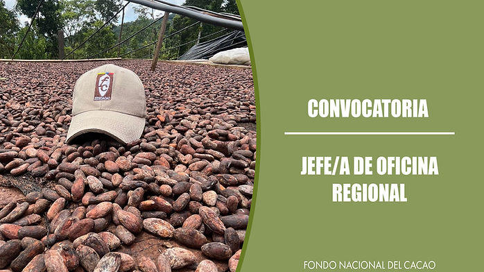 Fruto de cacao