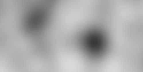 Blog 9: Sobre el viaje y la memoria en "La región subterránea" de Juan Nicolás Donoso