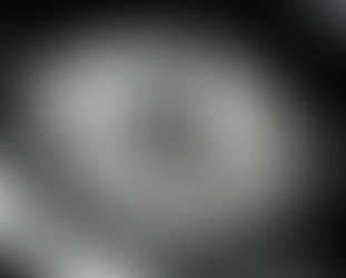 Blog 8: Rugido - El viaje de Iñe-e a Múnich y al Isar