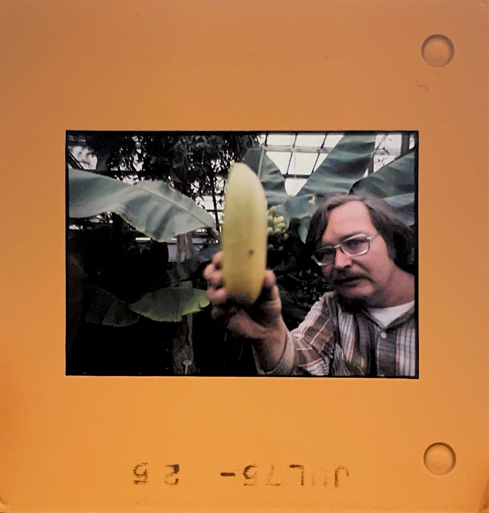 Man with Banana - July '75 no. 25