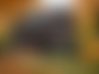 Stress-Free Storage: What to Look for in a Storage Unit Rental