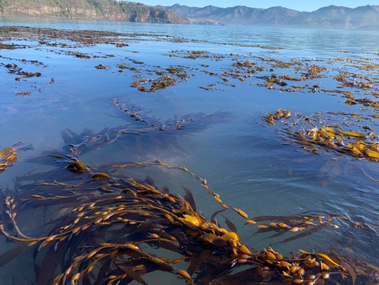 107376757_590129515030418_12094300109775