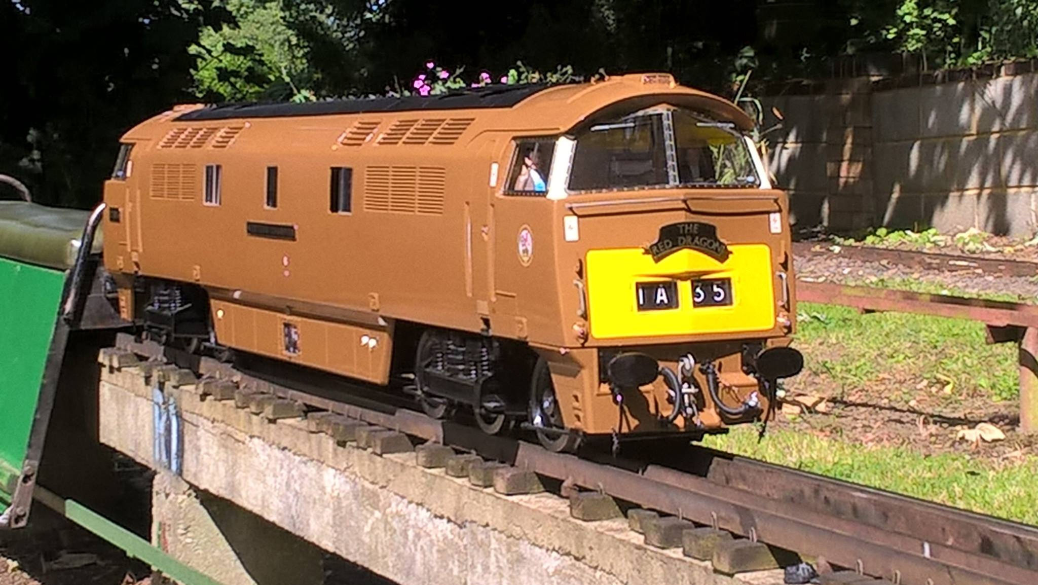 Class 52 Western 5" gauge Ready-To-Run (Co-Co)