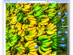 ColorPhi How To: Find green or yellow bananas if have CVD (aka colorblind)