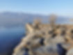 Uferverbauung am Zürichsee
