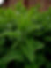 8f69d66c-8c38-41bb-8da7-cbe0e795de5b.jpg