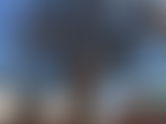 銀座　餃子バー内装工事進捗状況③