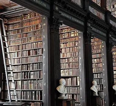 Traditional Library.webp