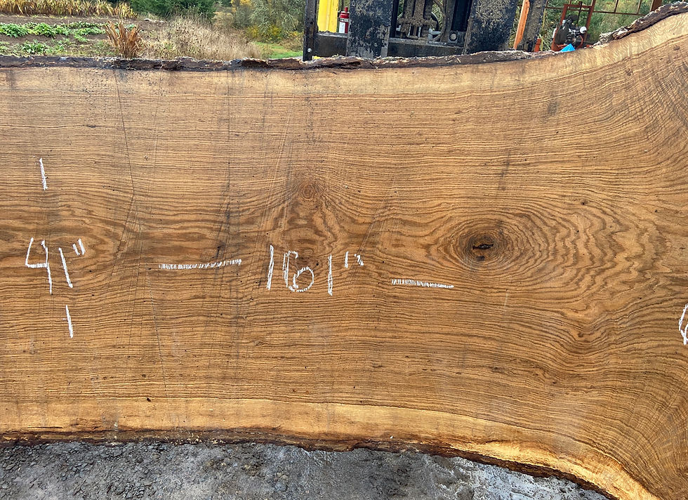 Thumbnail: Oregon White Oak Slab 110620-1