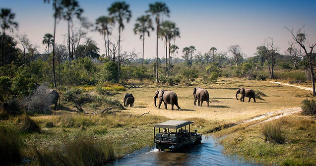 botswana-chobe-elephant.jpg