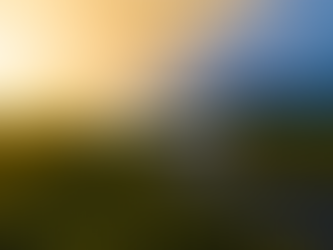 Preserve! A reZervo e o meio ambiente