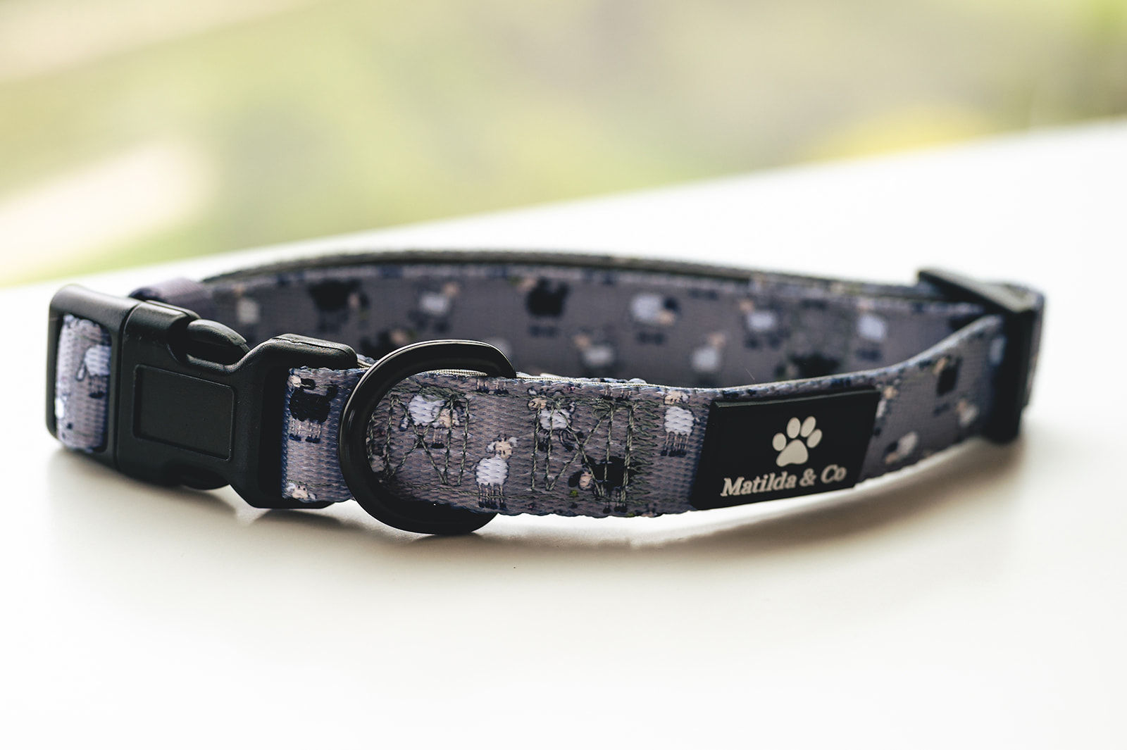 'Don't follow the sheep' Collar