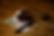 YL1A7701 1.png