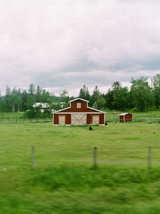 Red barn on the back roads of northwest montana; sitting in the middle of a lush green country field