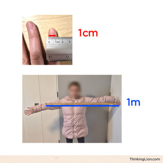 ❓ How do 1 cm and 1 m compare?