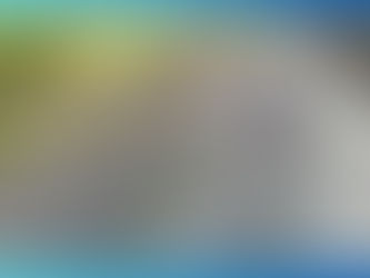 Câmeras flagram invasão e furto a residência no Guarujá; grupo seria formado por menores.