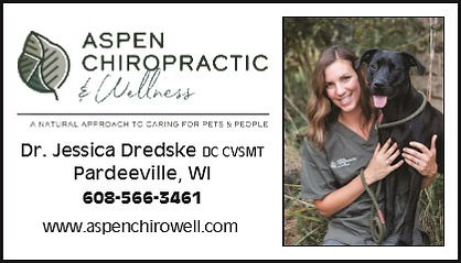 2022 aspen chiro paba bus guide II_1.jpg