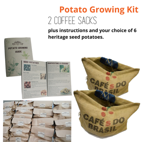 Potato Growing Kit