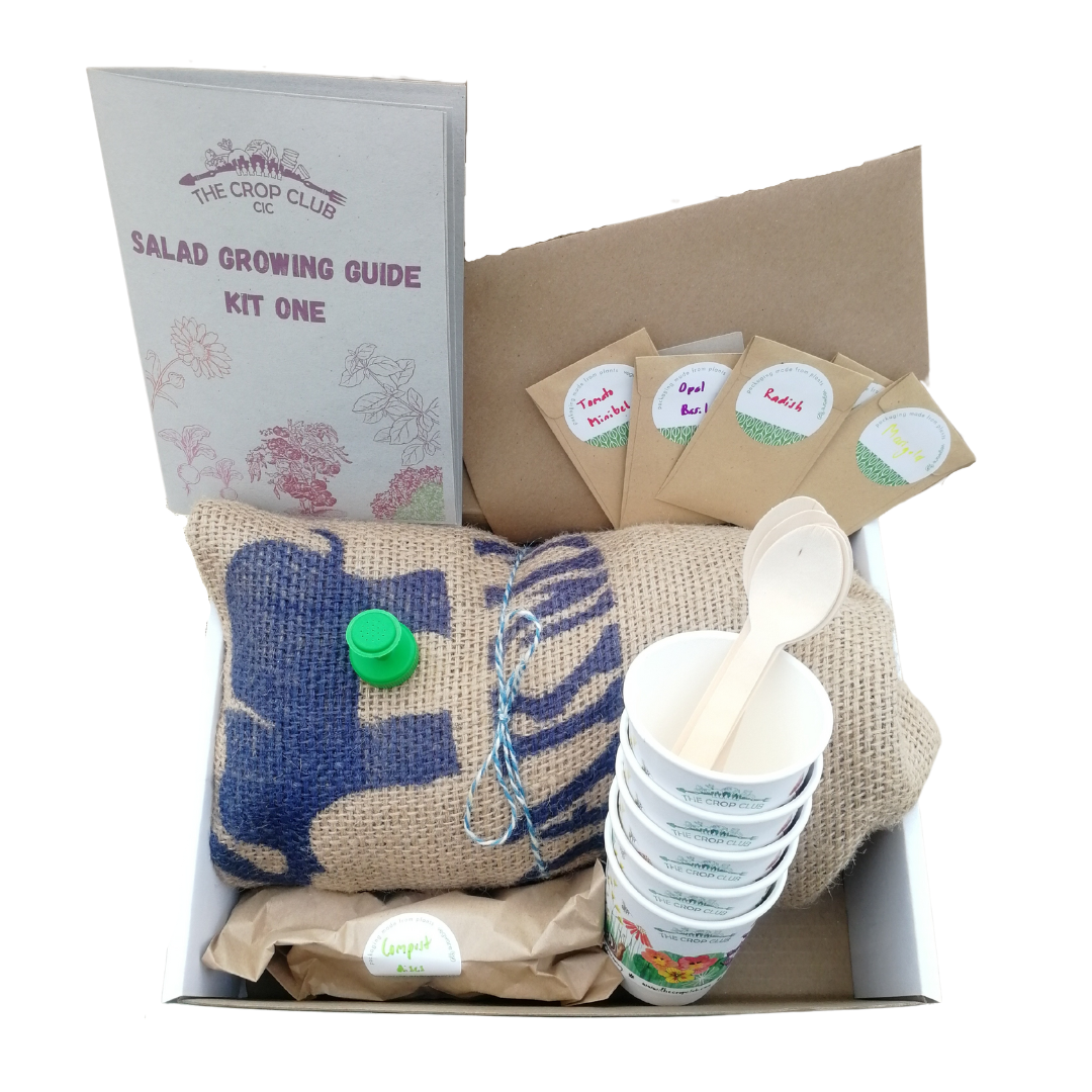 Salad Growing Kit Two