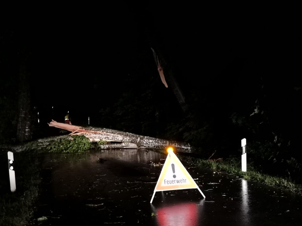 Miniaturbild: Unwetter mit Sturmböen