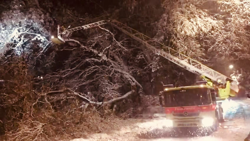 Miniaturbild: Baum über Tösstalstrasse