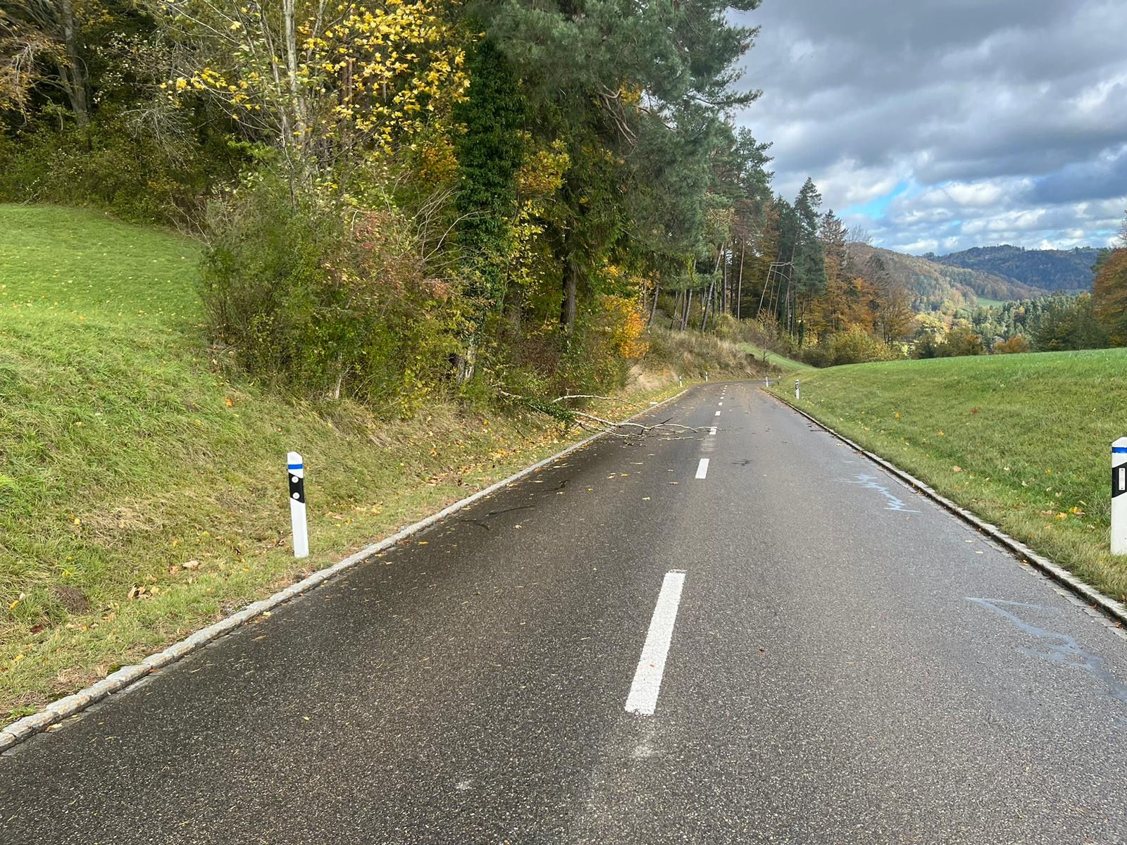 Ast lag auf der Strasse