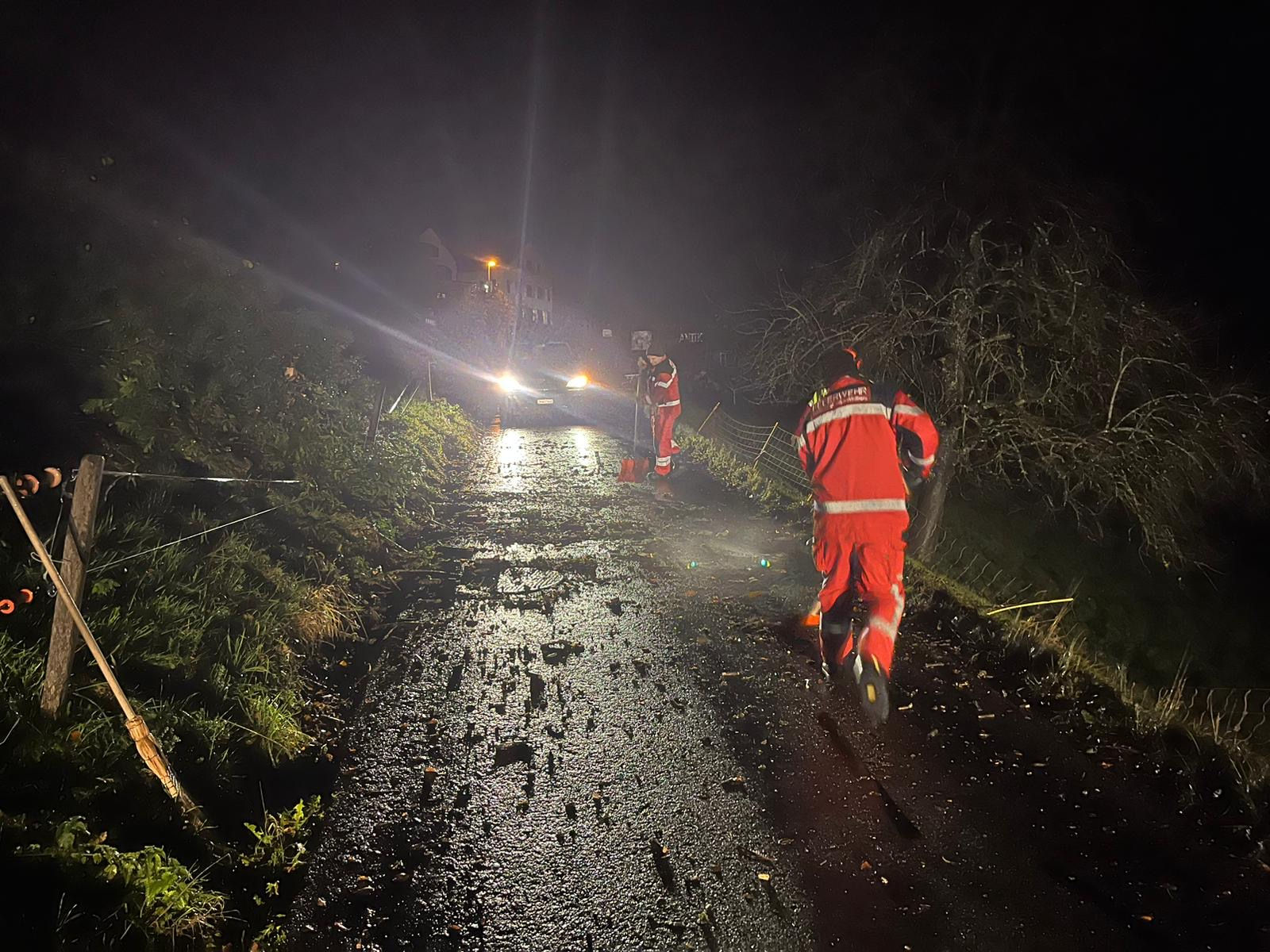 Baum auf der Strasse