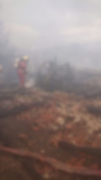 Miniaturbild: Grossbrand Ökonomiegebäude Bauma