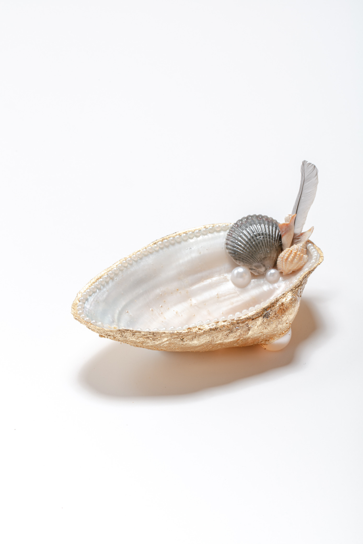 Large Shell - gold