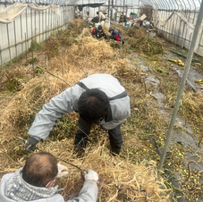 ワンアンドオンリー