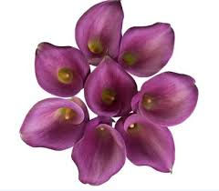 mini callas rubylite.jpeg