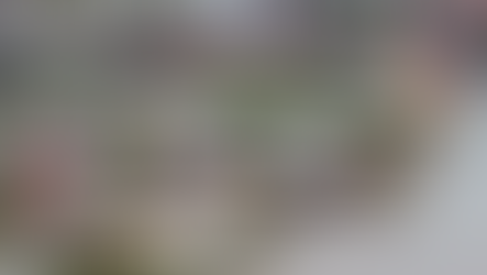 Bonus casa per l’alluvione in Emilia: cosa c’è da sapere