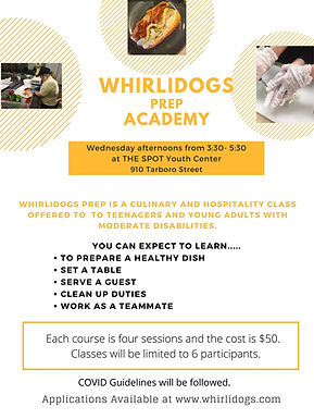 WhirliDogs Summer Academies