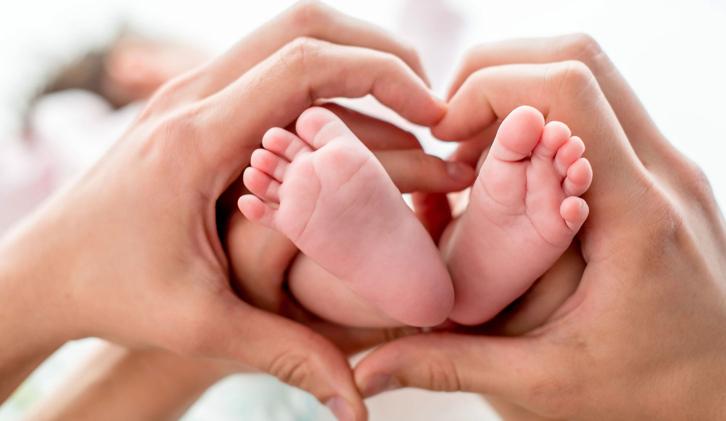 Modern Obstetrics & Gynecology of Wilson