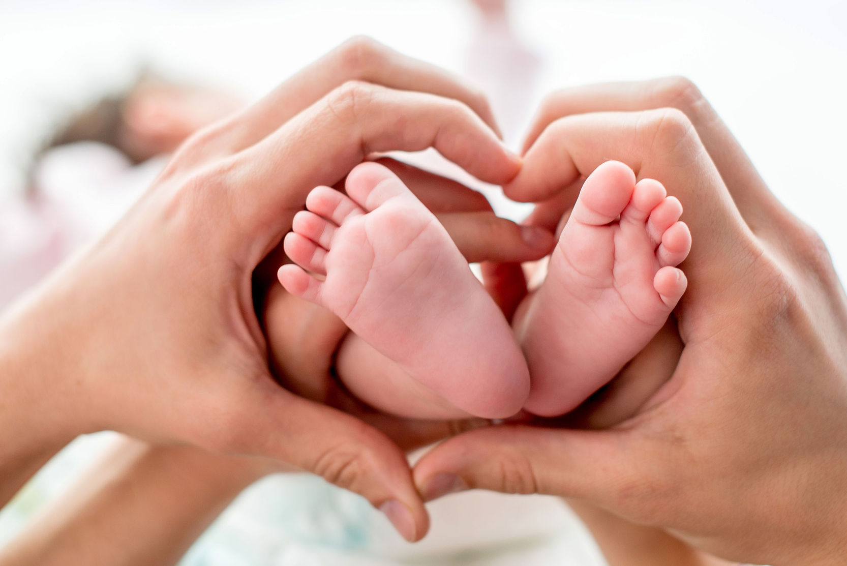 Modern Obstetrics & Gynecology of Wilson