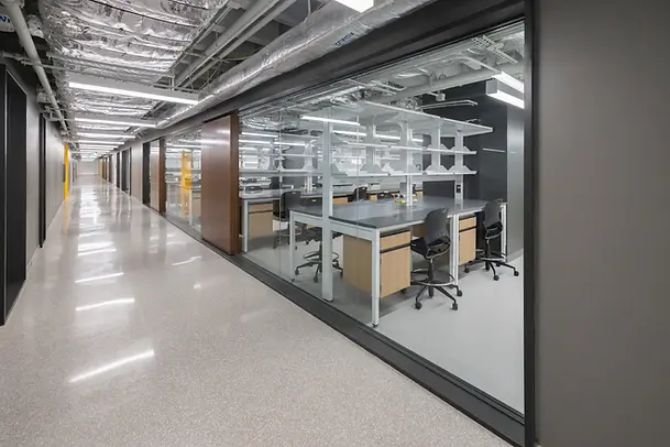 La Tulane Lab Highers (21).webp