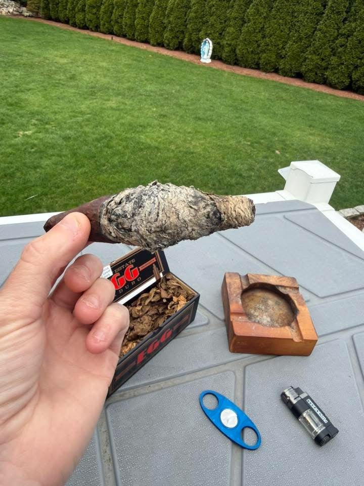 A Long Ash Drew Estate Egg Maduro Cigar Presented by Justin B