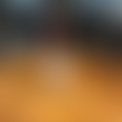 Wild Turkey 101 Kentucky Straight Bourbon Whiskey