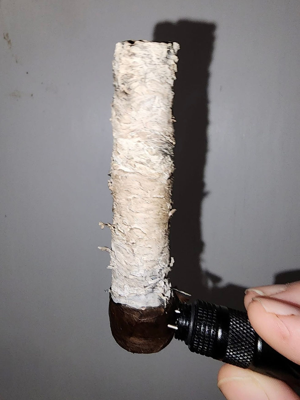 A Long Ash Ashton VSG Cigar Presented by Isaac H