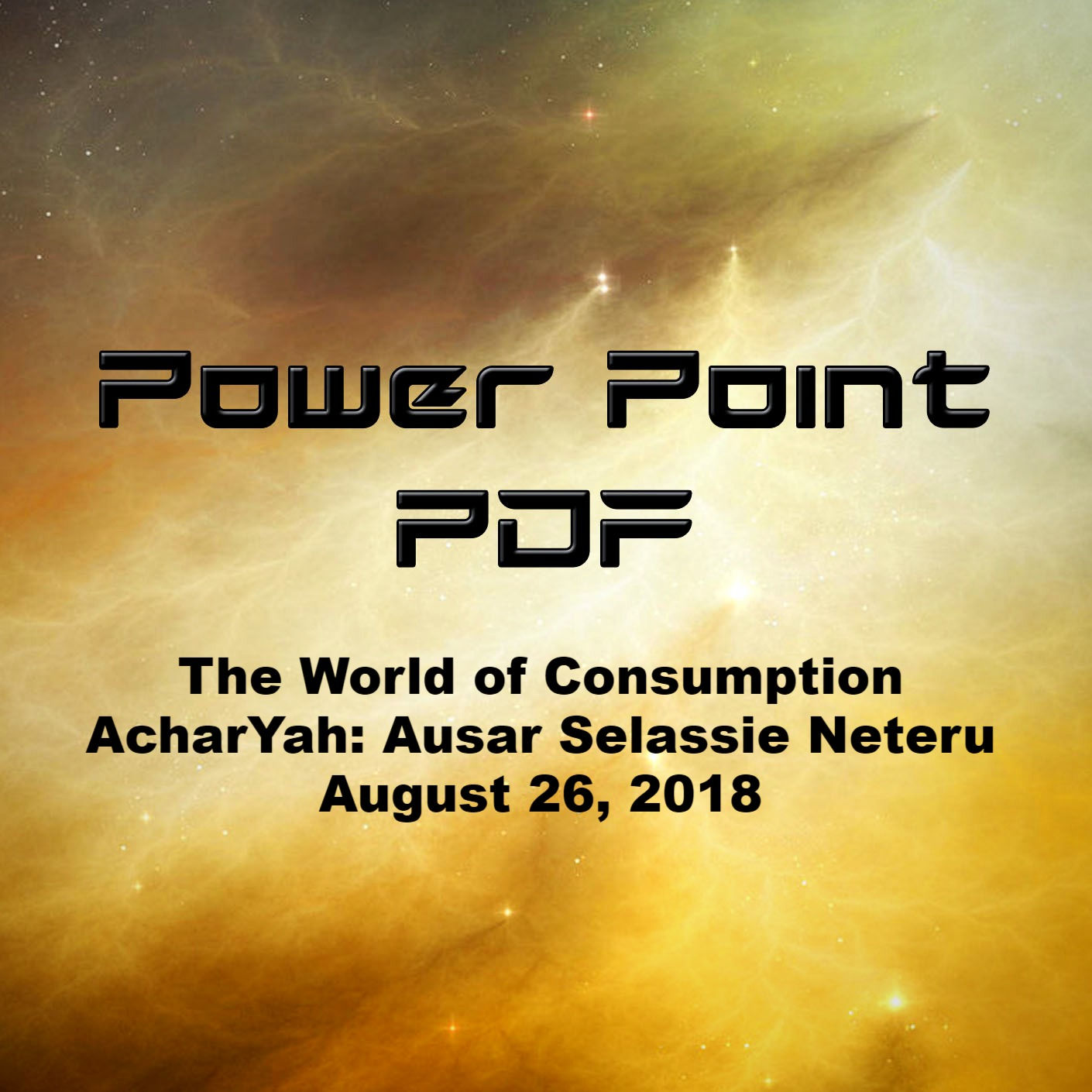 The World of Consumption Power Point PDF