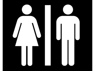 A Transhumanist View of Sexual Relations