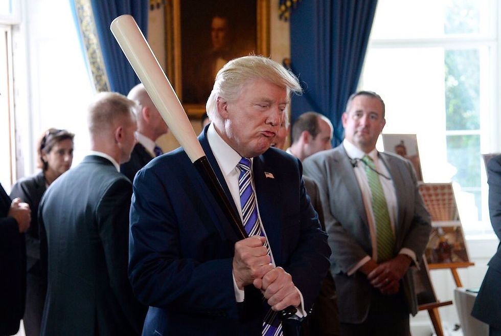 Trump baseball bat