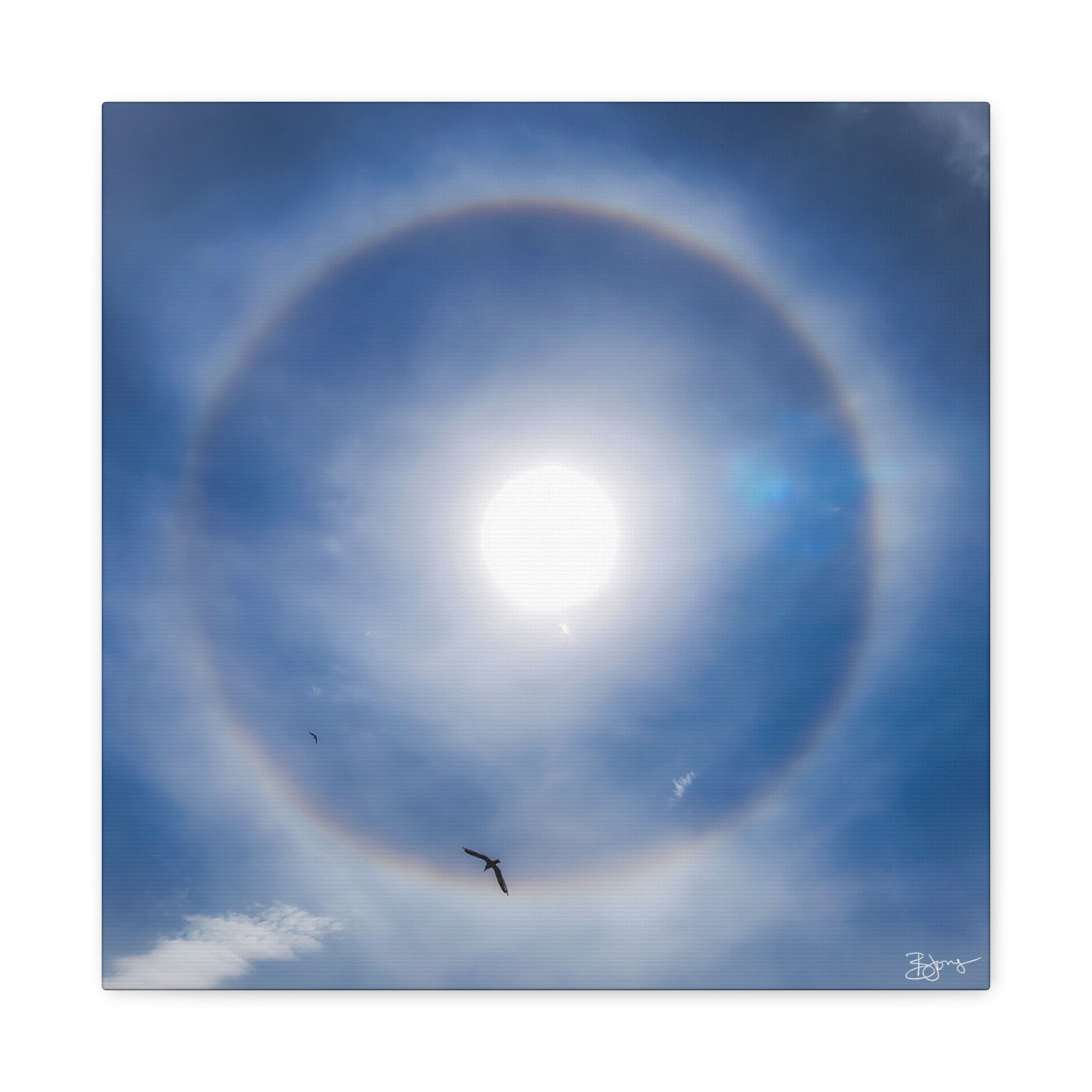 Feathered Halo Canvas Print