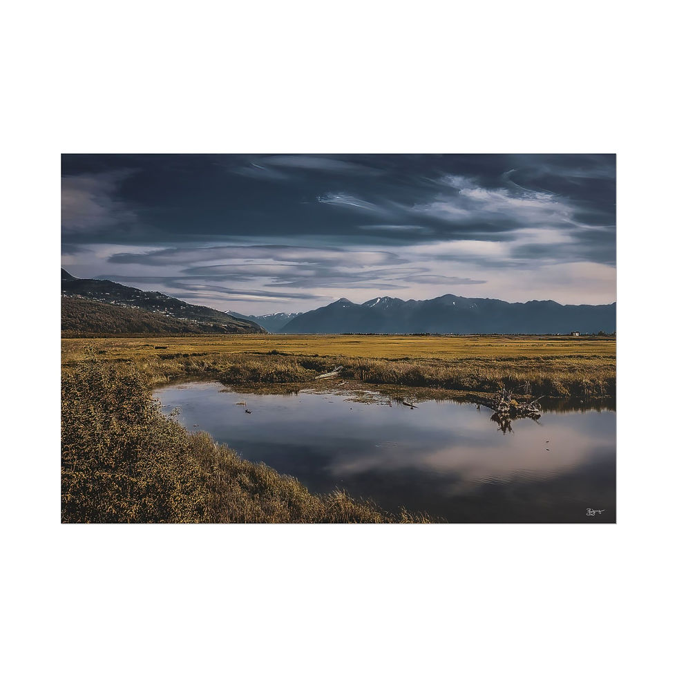 Thumbnail: Marsh Mellow Premium Print